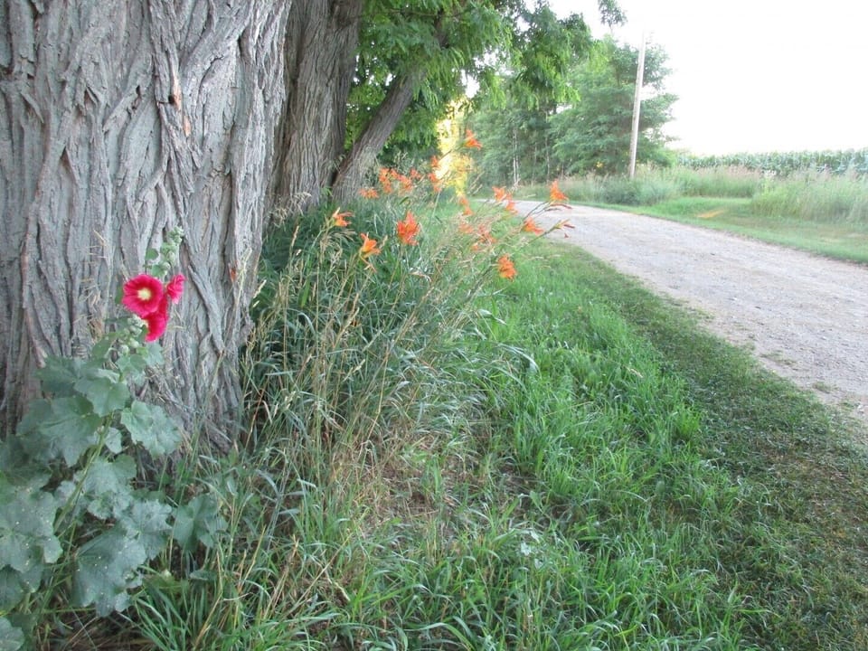 The country driveway leads to your private oasis.