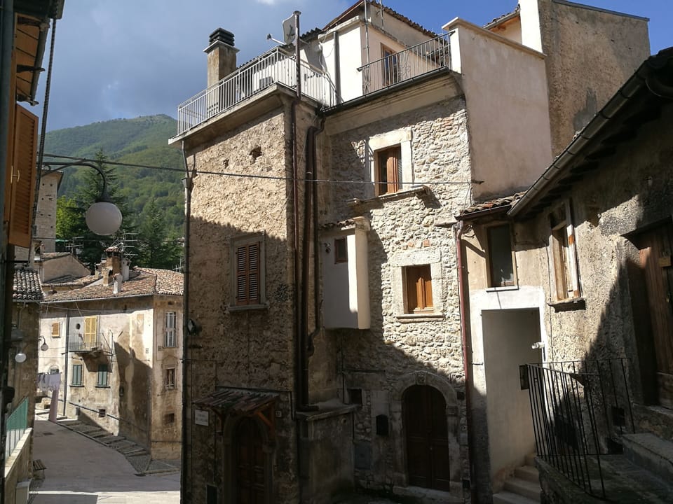 The house