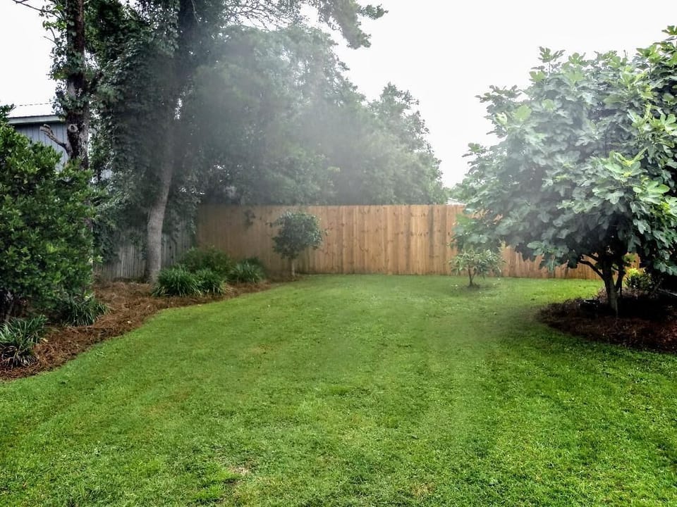 Back Yard