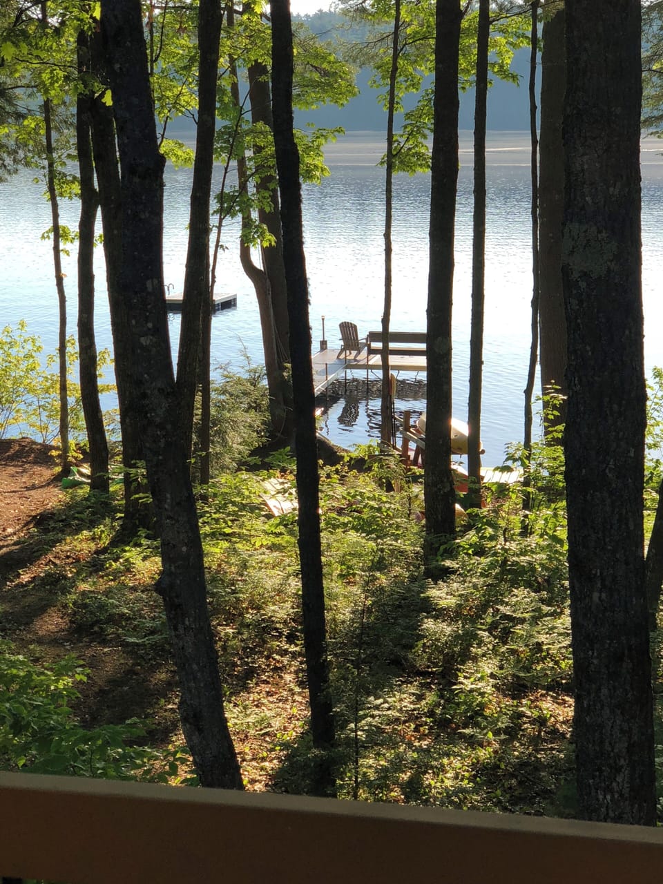 Morning view from the deck