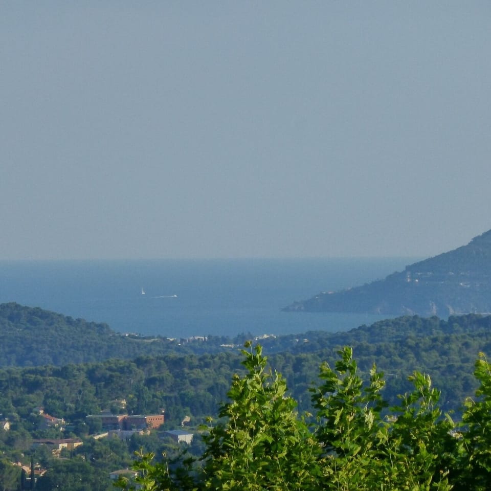 View from the Garden
