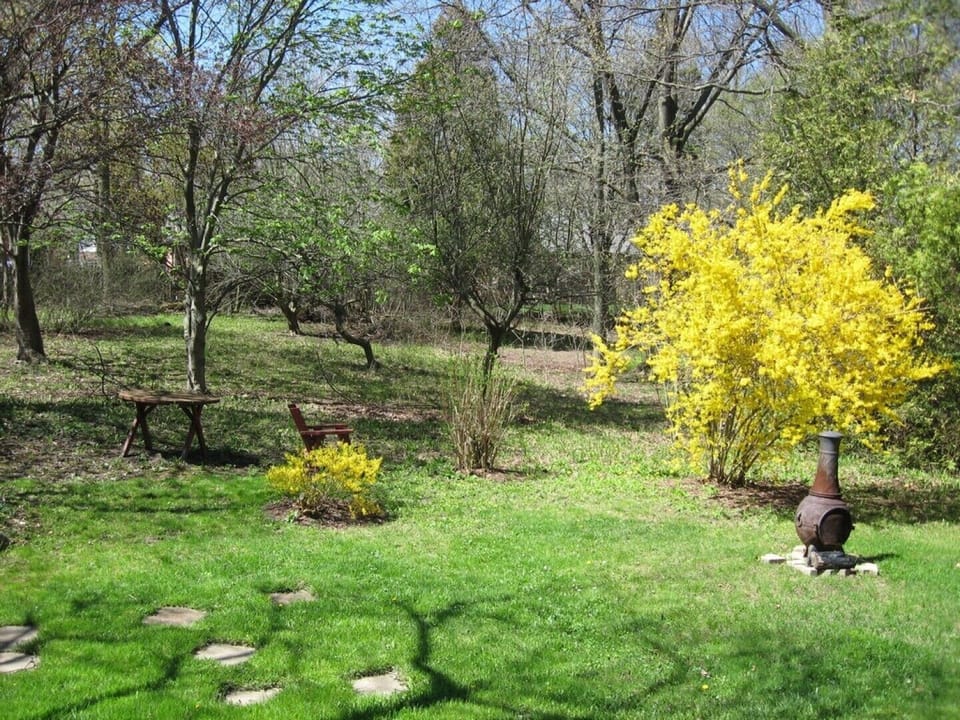 Back yard in the Fall