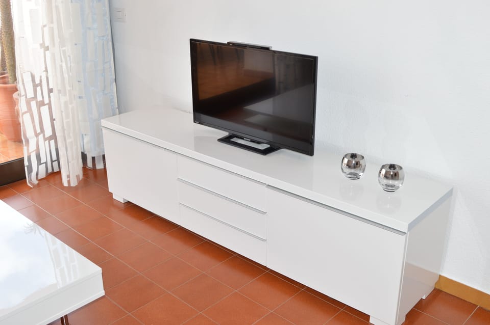 Television