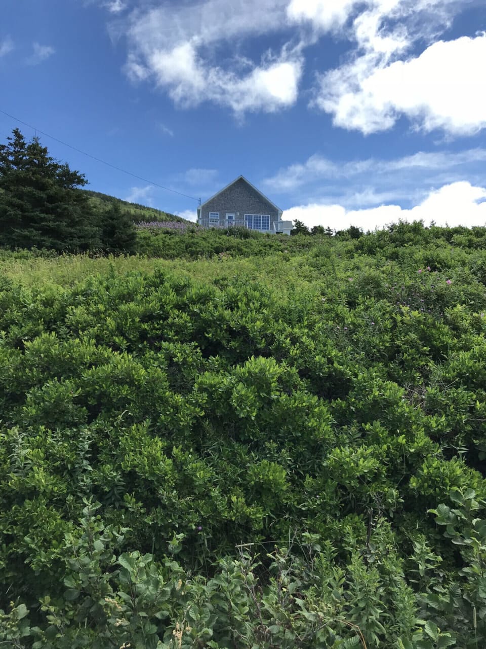 Distance of the cottage from the road 2 (Guest Photo - Dan H)
