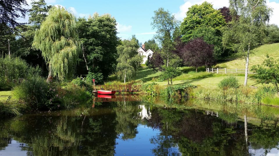 View across our lake - a good spot to relax or maybe for some painting?