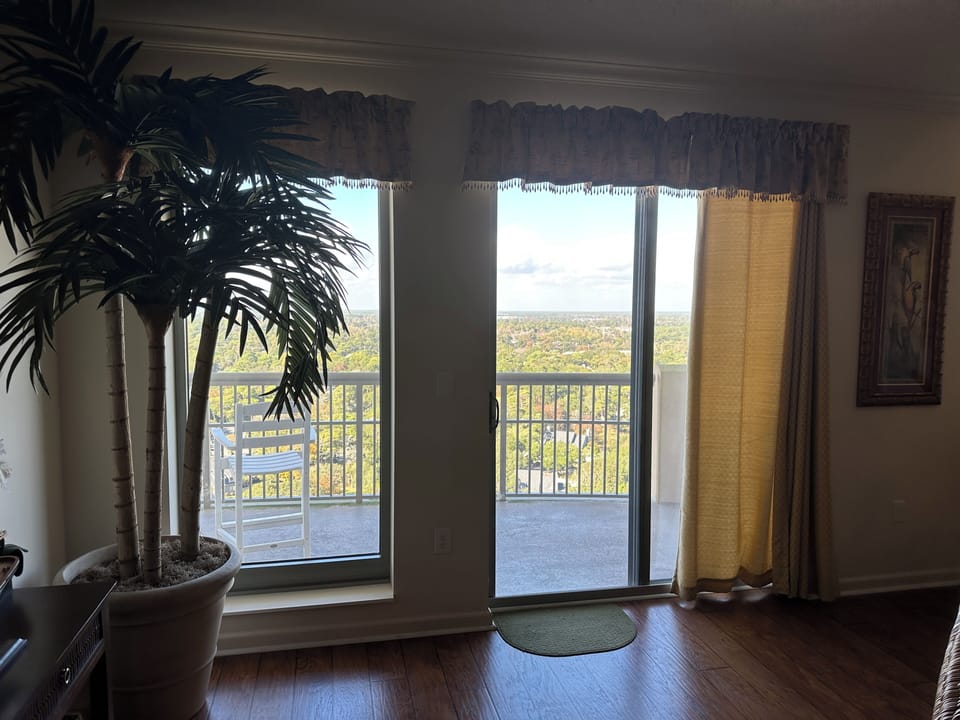 Balcony access from living room
