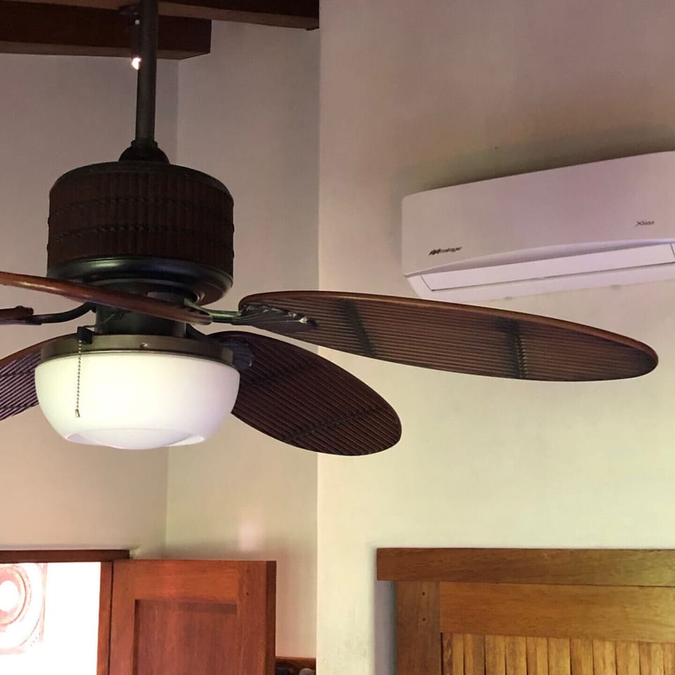 Ceiling fan and ultra quiet AC in master bedroom (also AC in guest bedroom)