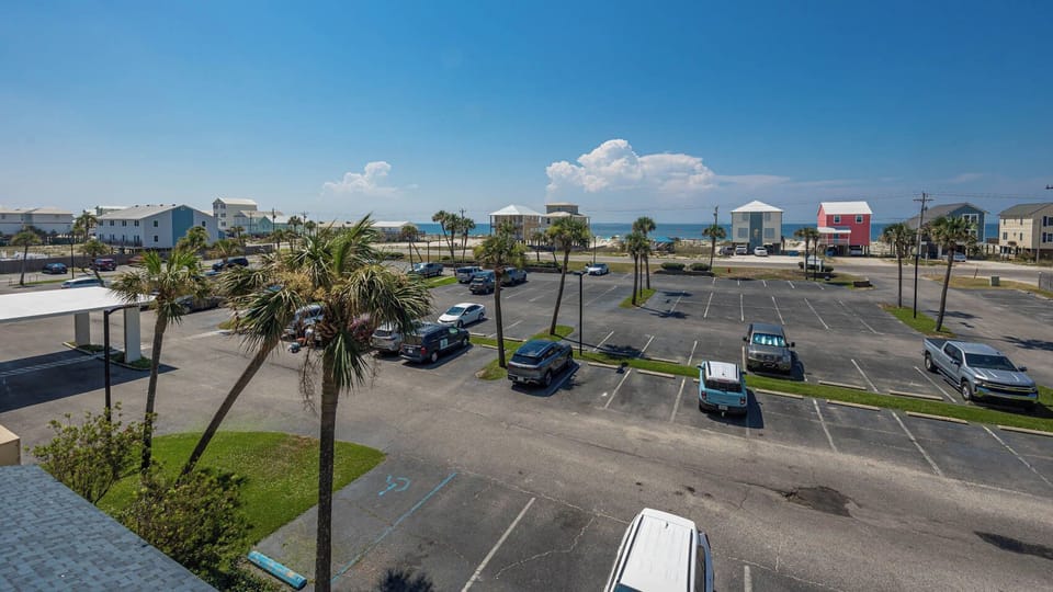 This view showcases a vibrant beachside scene with palm trees and a glimpse of the water beyond the parking area