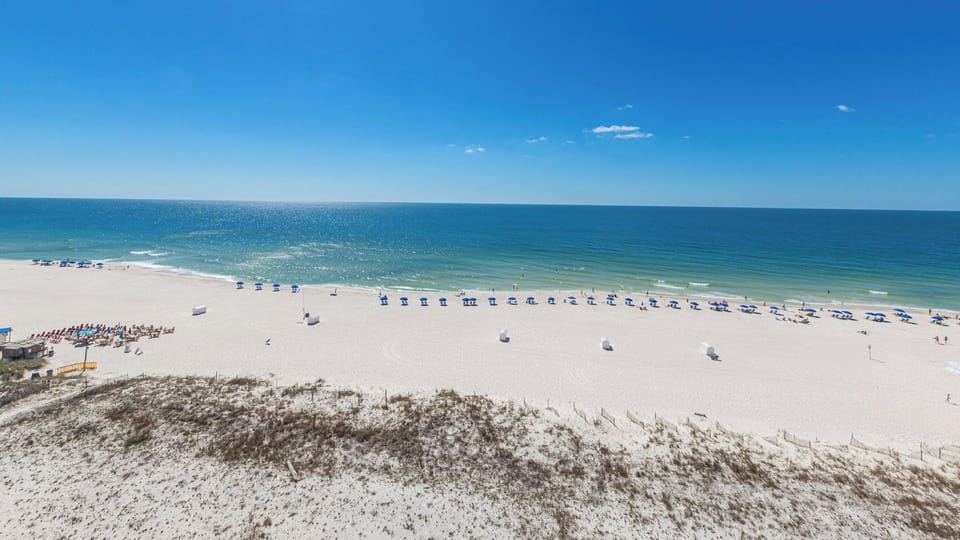 Clear blue skies stretch endlessly over the sparkling coast where sunlight dances on gentle waves