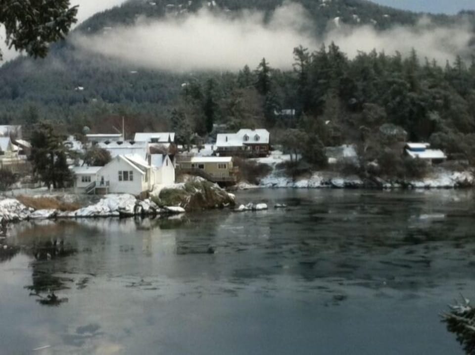 Peaceful in the quiet season; a snowy winter's day.