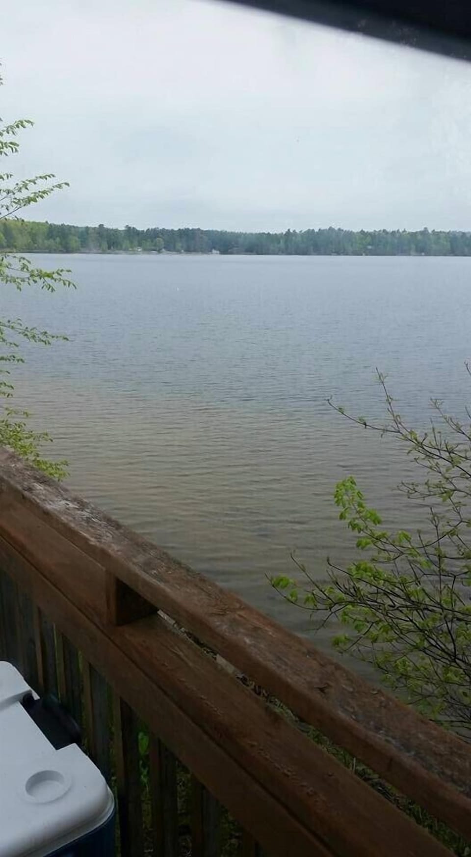 View from the porch