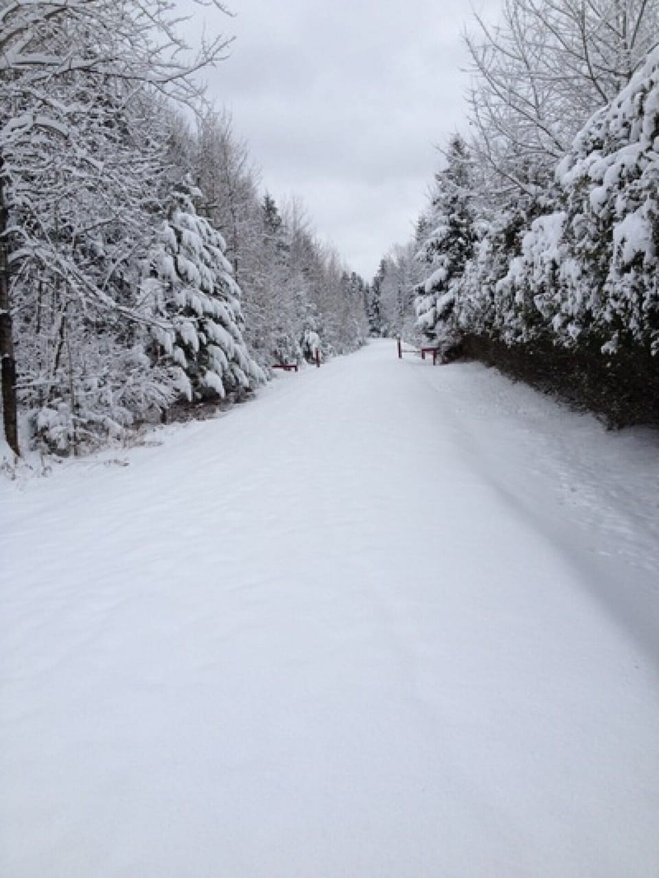 Winter x-country skiing or snowshoeing within a km of our door - le petit trail du nord