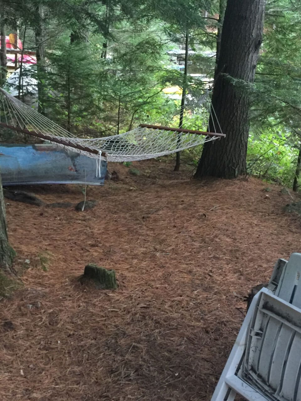 Afternoon nap time.