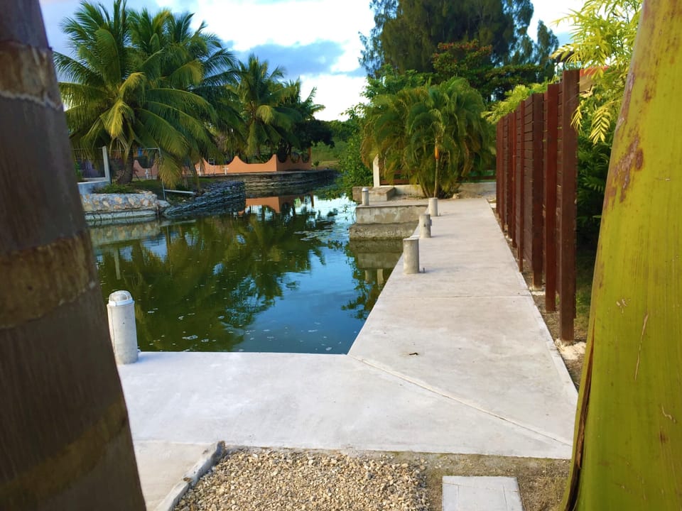 41 Ft. Slip at Back of House