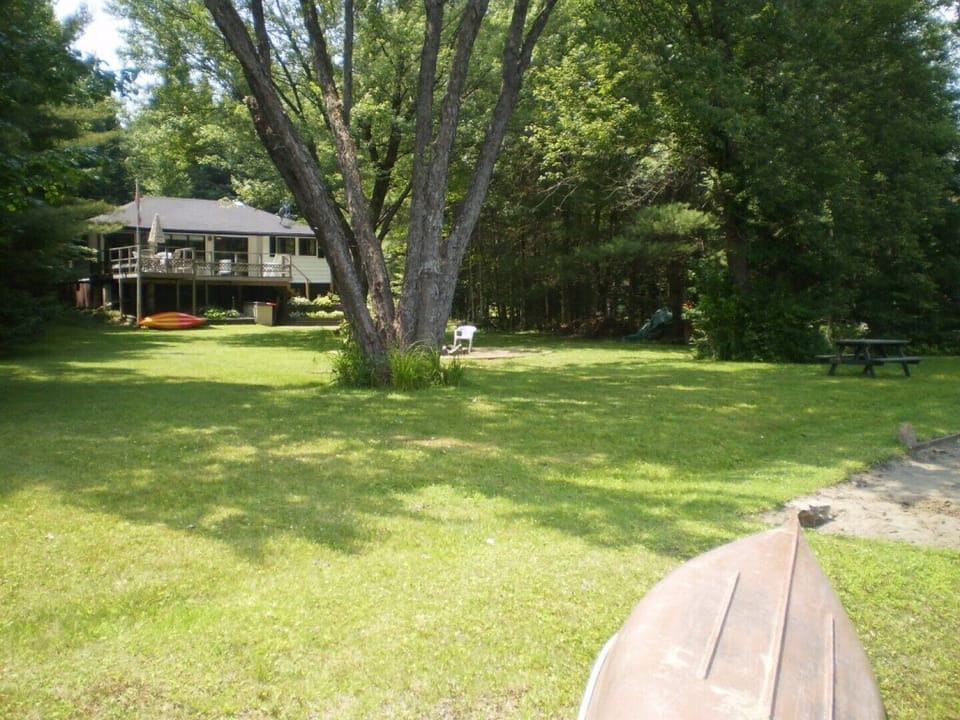 Big lawn