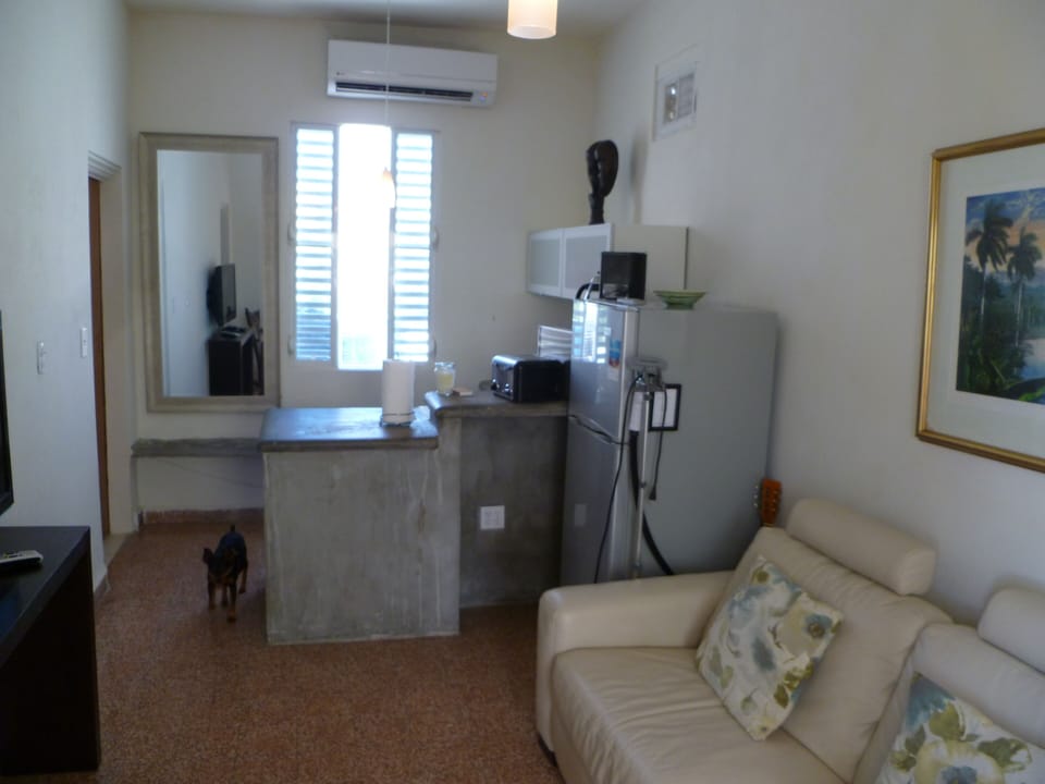 living kitchenette, oops sorry Mickey is not supposed to be in this picture.