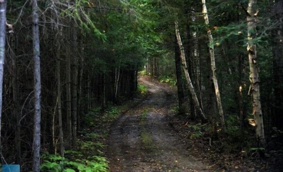 Want to go for a walk.. there are plenty of walking trails