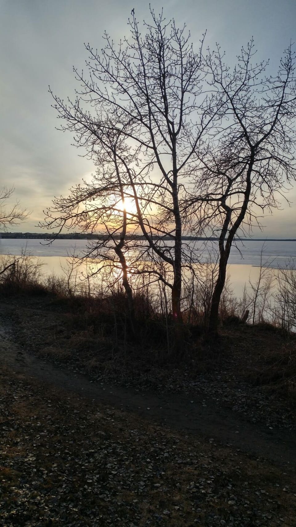 Night glow near water's edge steps away fromcottage