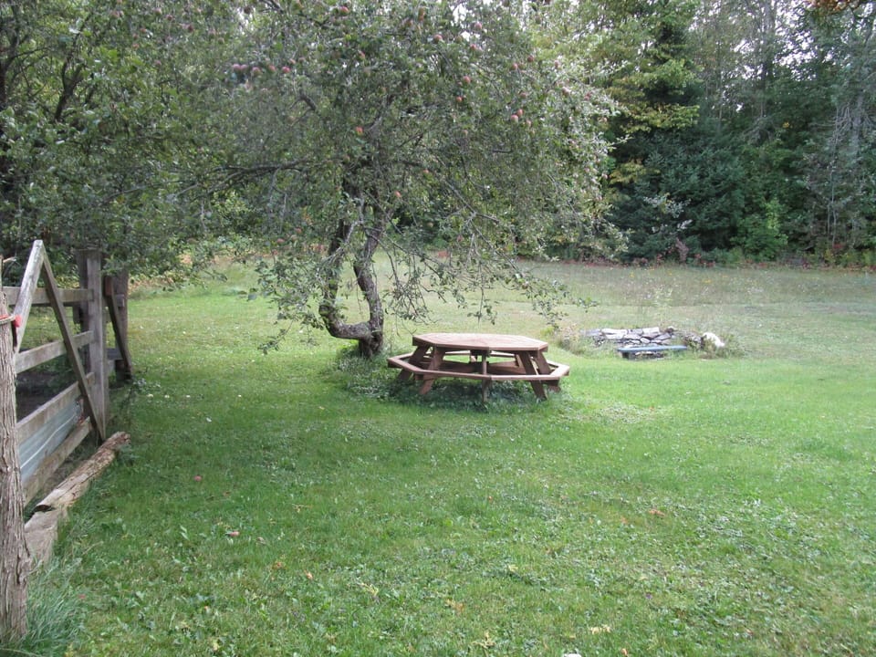 picnic table