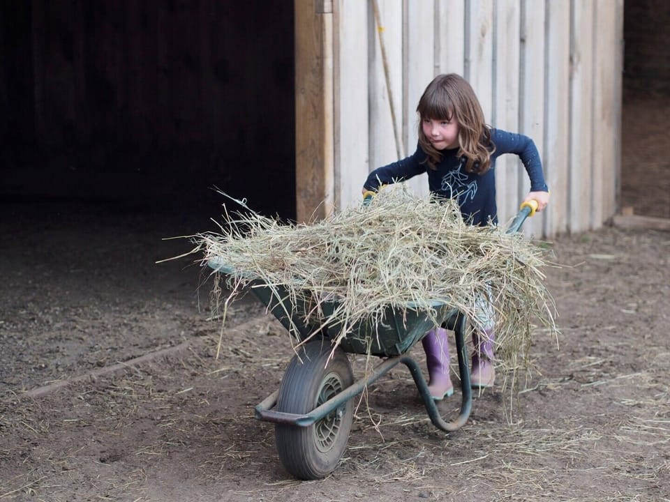 experience life on the farm during your stay