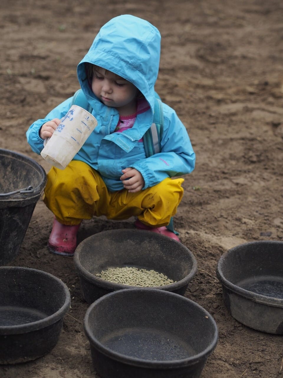 let your children help feed the animals.