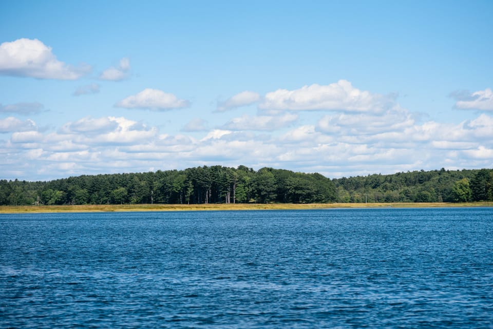 Area views