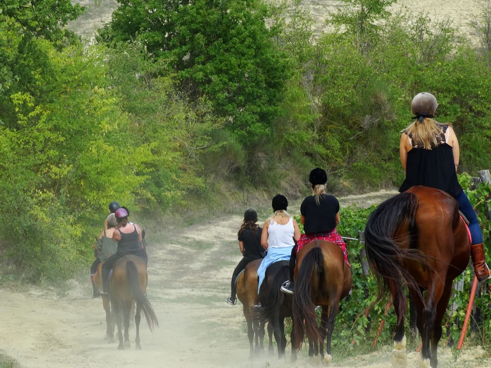 The next door riding school start hourly rides in our vineyards and forest 