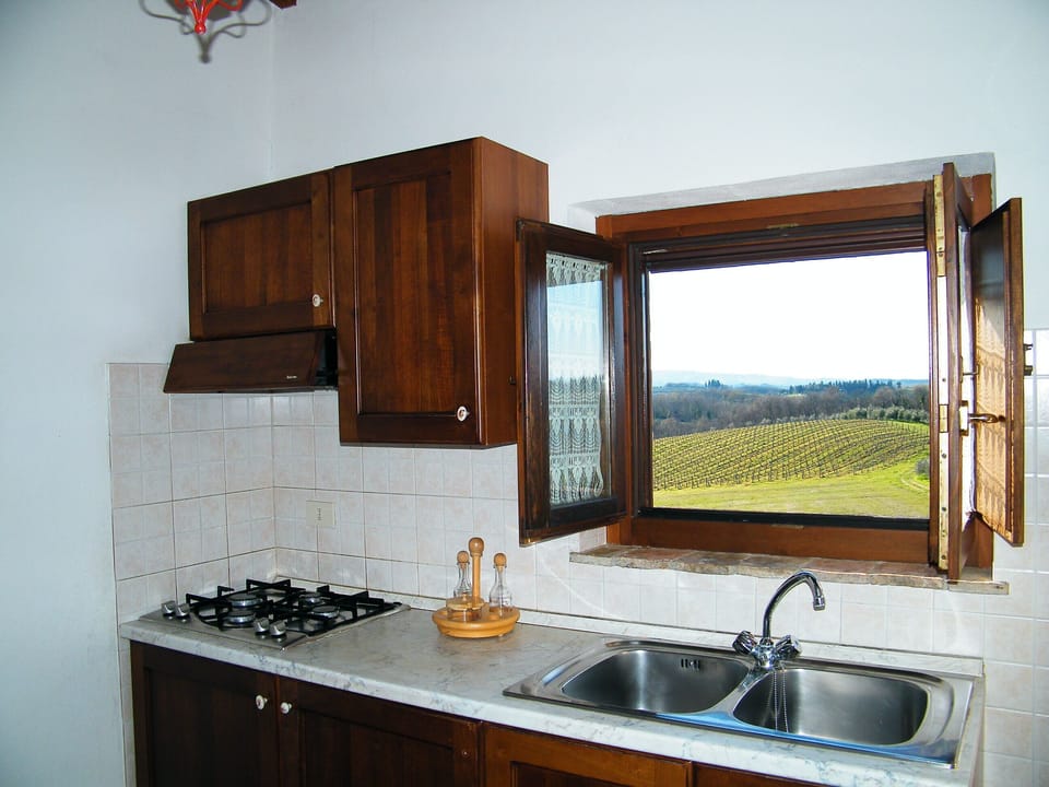 The view from the kitchen! One of Montegonfoli vineyards.