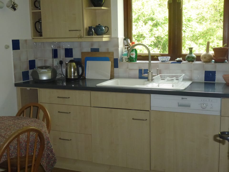 Kitchen looking out over woodland