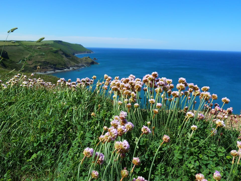 Local coastline