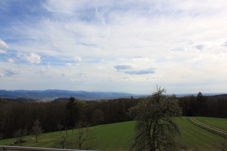 View from property