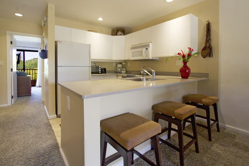 fully equipped kitchen (brand new fridge with ice maker not shown)