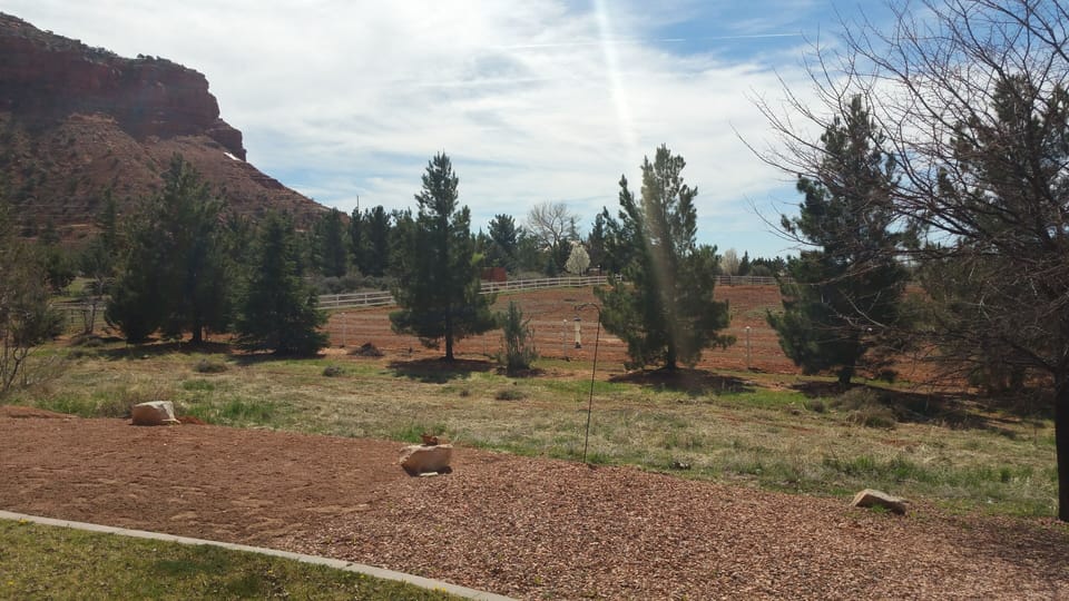 The view from the back patio