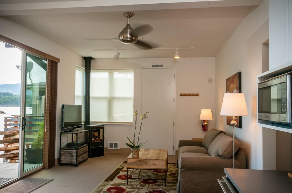 Living room with sofa bed and propane heating stove.