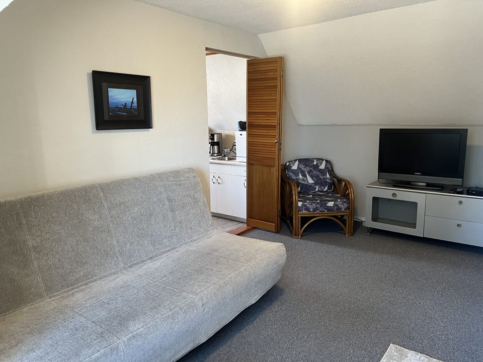 Living room opposite view. 