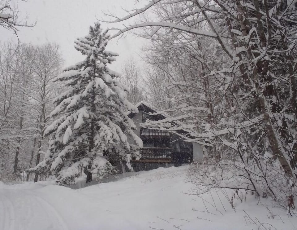 Powder Day!