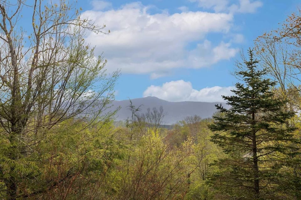 Mountain View from North View Lodge