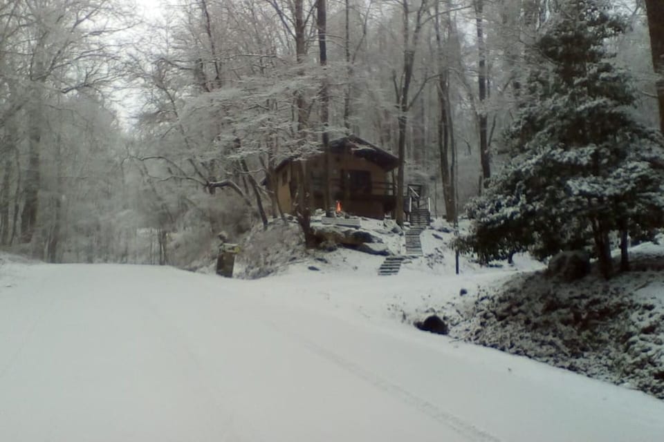Snowy day.