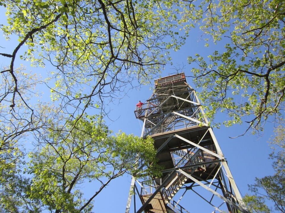 Climb the Dorset Tower 2 minutes drive from cottage