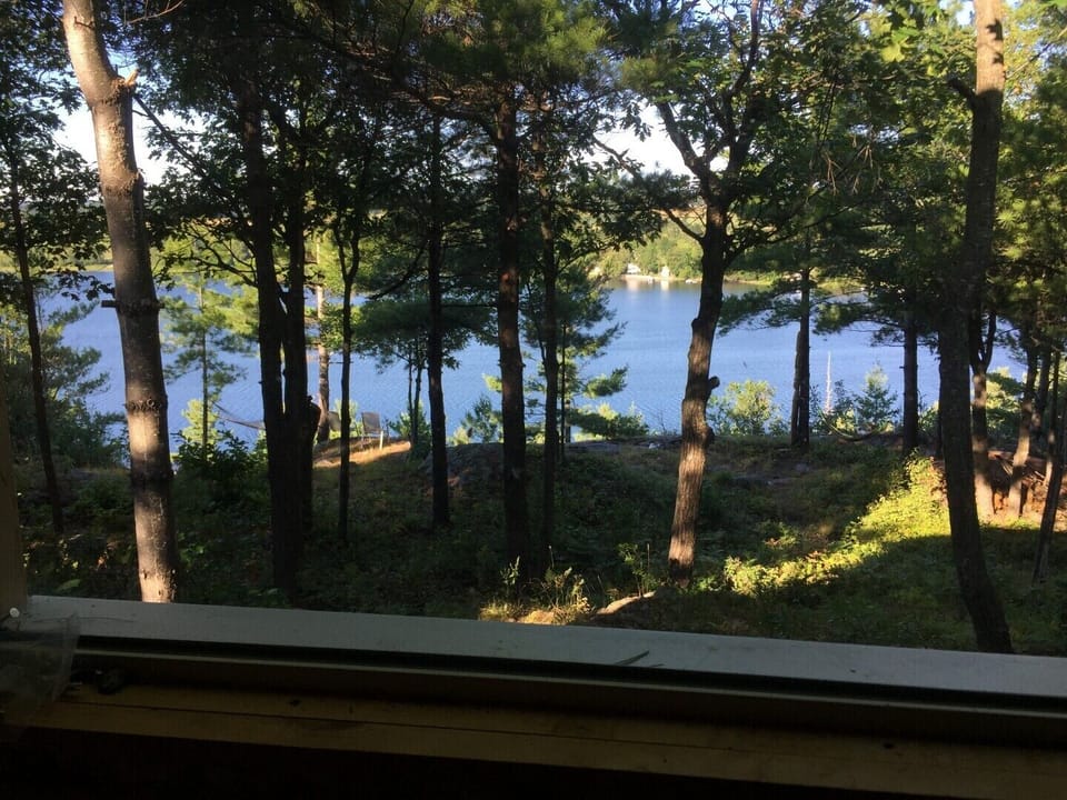 Morning view from cabin window or deck. 

Hammock is located in photo on the left side