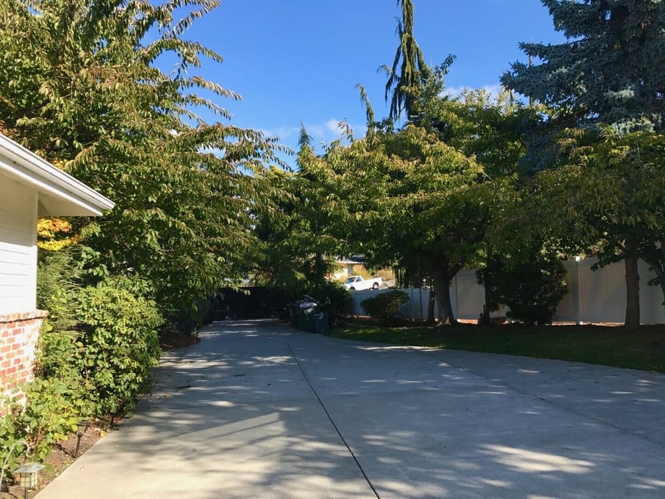 View of the gate from the driveway