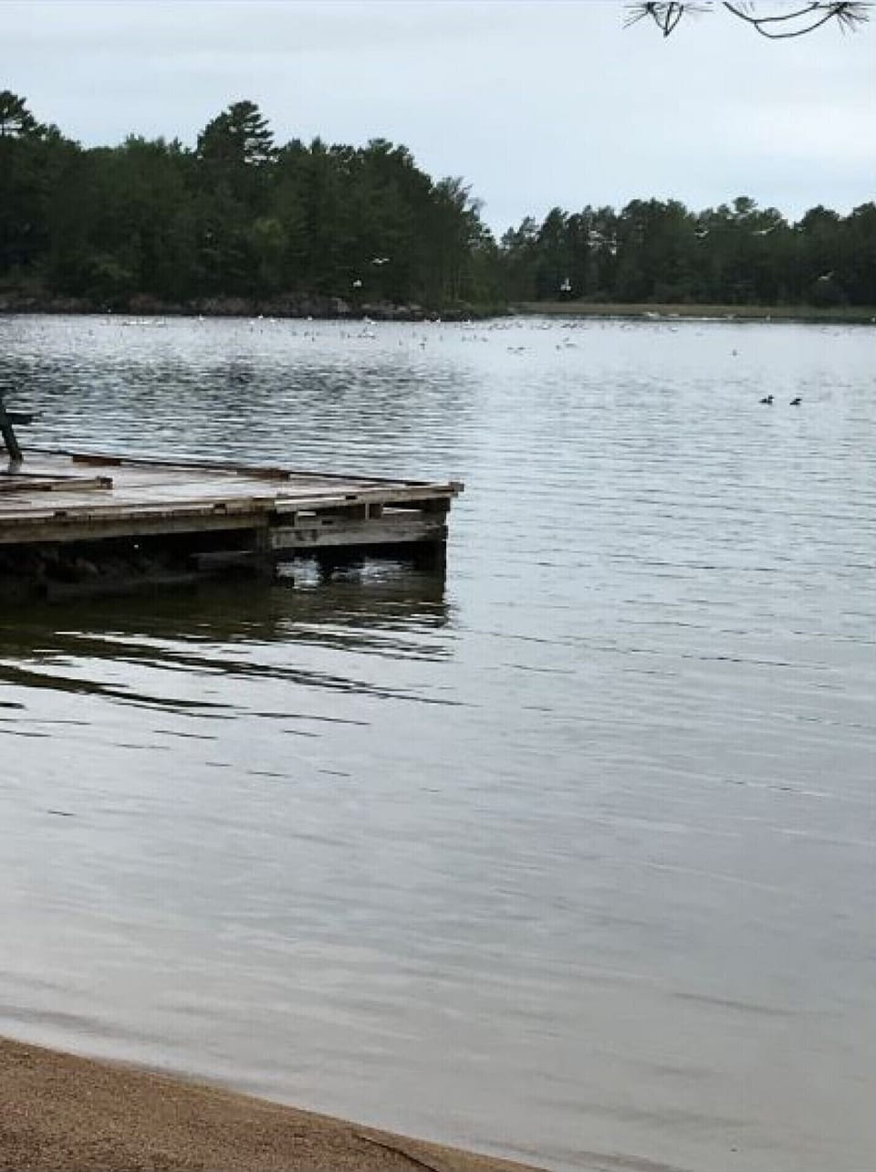 View of dock from Beach Cabin