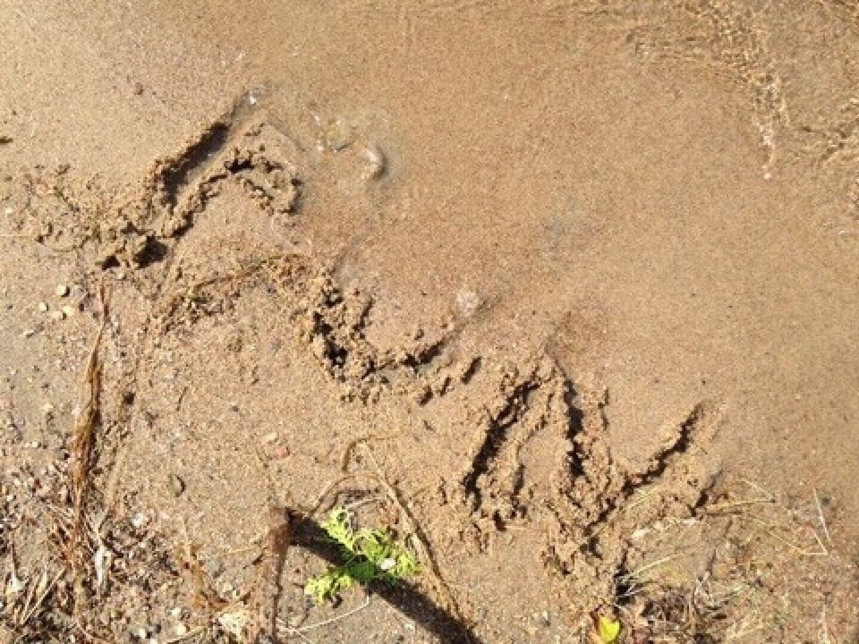 Only one word best describes your vacation at this cottage...FUN!
