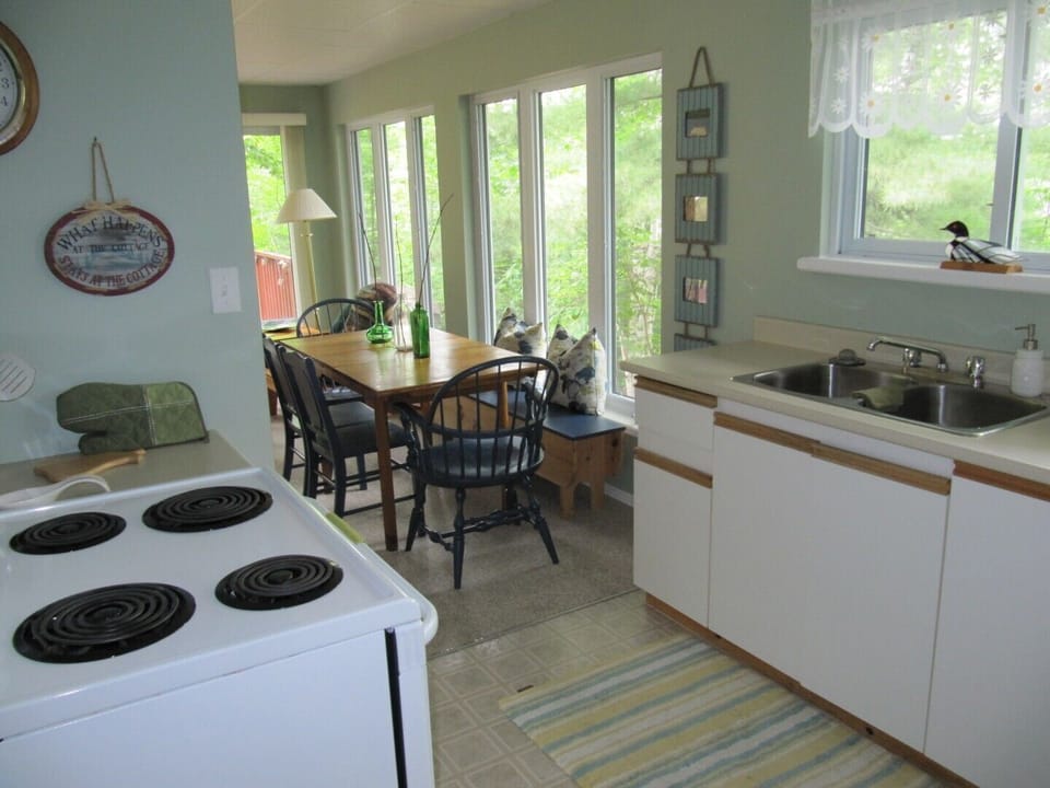Clean full size stove/oven and fridge...why not a roast turkey?!