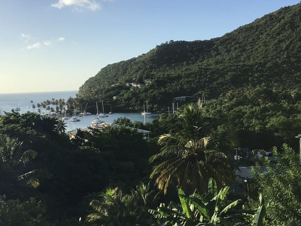 View from the pool