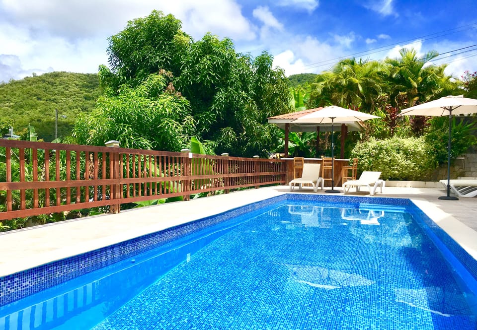 Your salt water pool.