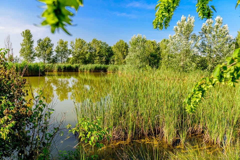 Our little lake