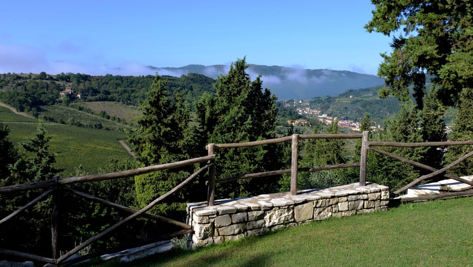 View from garden terrace. Pontassieve town is 3km