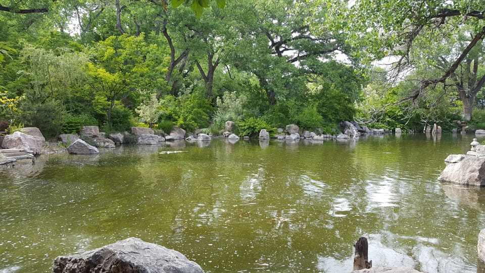 Pond at Albuquerque Botanical Gardens, 4 miles driving. Located next to zoo.