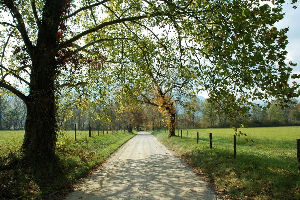 Be sure to drive through Cades Cove